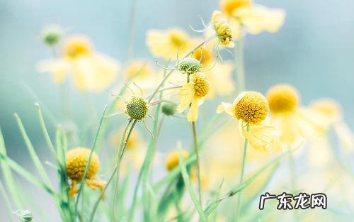 夏天的句子短句唯美摘抄 【抖音文案】形容夏天的短句唯美