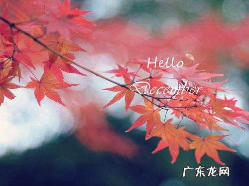 描写十二月的优美句子 【抖音文案】十二月优美句子