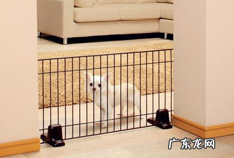 法斗耳屎是哪些的,法斗耳屎黑发出臭味一切正常吗