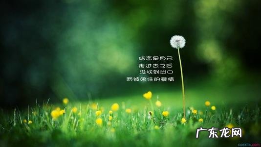 关于风景的句子唯美短句 【抖音文案】关于风景的句子唯美