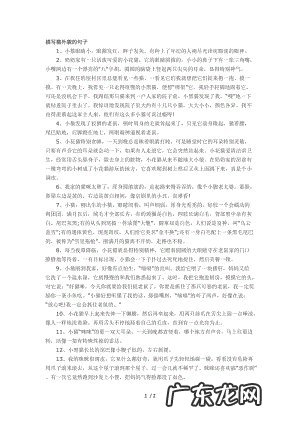 外貌描写的句子有哪些 【抖音文案】外貌描写眼睛的句子