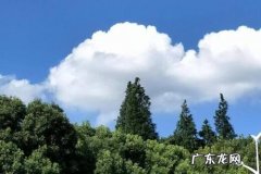 赞美风景的句子短句 【抖音文案】赞美风景的句子