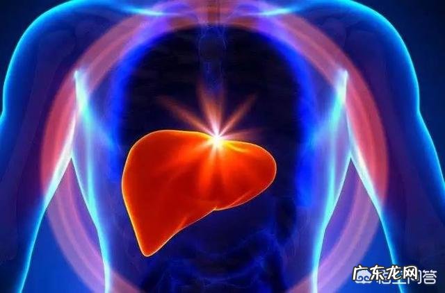 肝脏好不好，看脚就能知道吗？为什么？