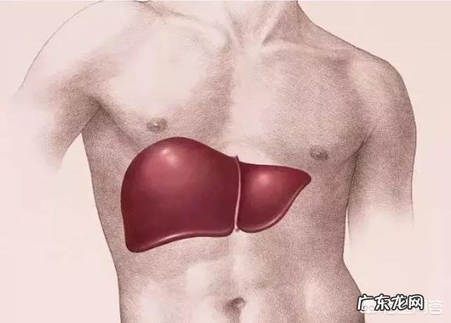 肝脏好不好，看脚就能知道吗？为什么？