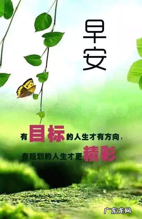 早安语录正能量短句 【抖音文案】正能量早安句子