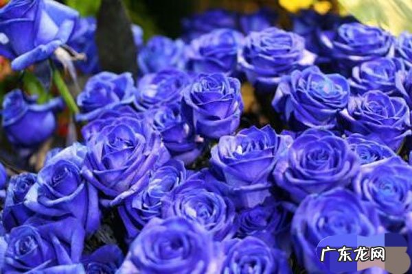 开花店怎么样?能赚钱吗?