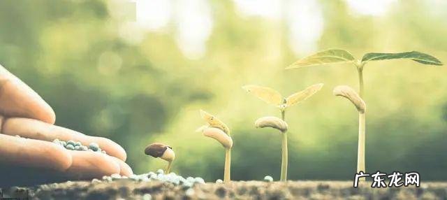 正能量的经典句子 【抖音文案】充满阳光正能量的句子