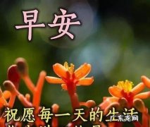高情商正能量的句子经典语句 【抖音文案】情商幽默正能量句子