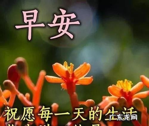 高情商正能量的句子经典语句 【抖音文案】情商幽默正能量句子