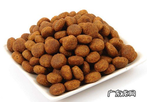 如何分辨狗是否挑食,狗狗如何是挑食