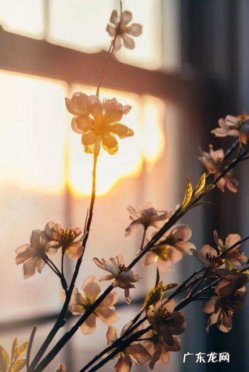 【抖音文案】形容时间过得很慢的诗句