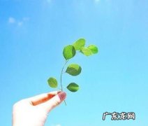 阳光简短励志唯美句子8个字 【抖音文案】励志阳光简短句子