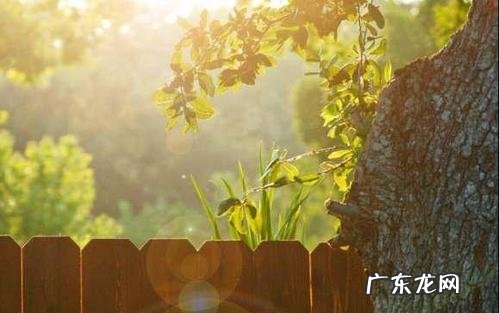 阳光简短励志唯美句子8个字 【抖音文案】励志阳光简短句子