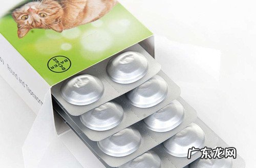 小狗没除虫会偏食吗,小狗没有除虫偏食应该怎么办