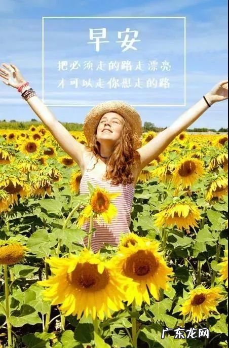 阳光激励的句子经典 【抖音文案】阳光激励生活的句子