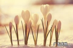 阳光激励的句子经典 【抖音文案】阳光激励生活的句子