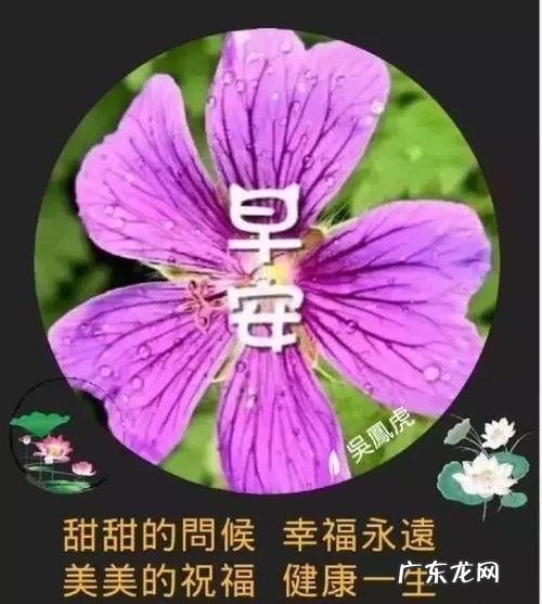 早问候语 简短 【抖音文案】早晨问候语简短最美的句子