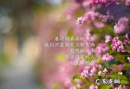 女人正能量的励志句子短句 【抖音文案】励志女人正能量短句