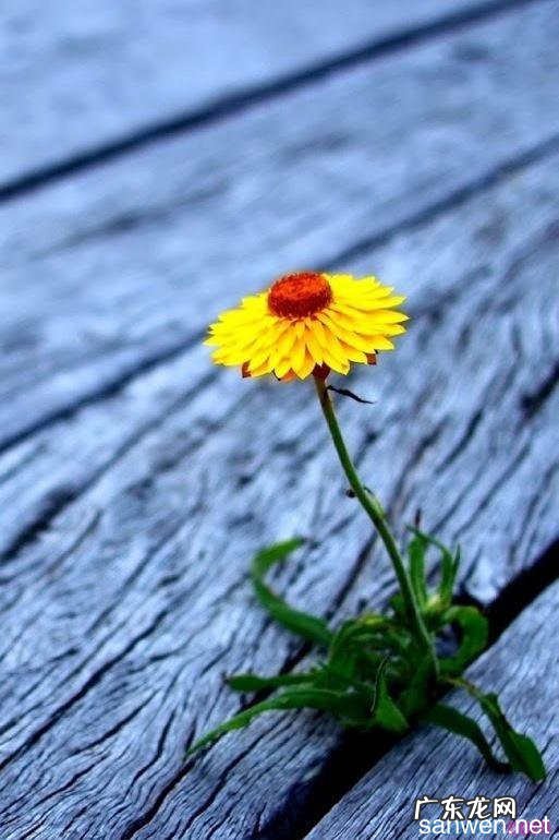 描写夏天早晨的优美句子摘抄 【抖音文案】描写早晨街道的优美句子