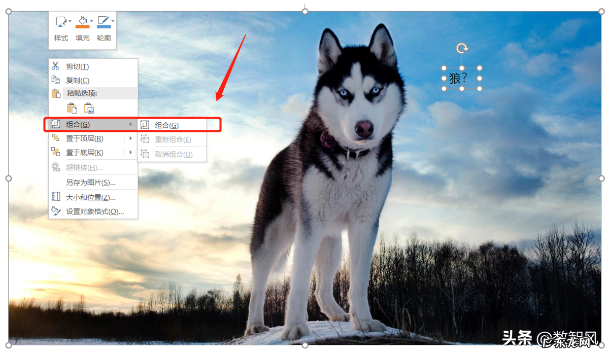 简单使实用的两个制作方法 怎么在图片上加文字