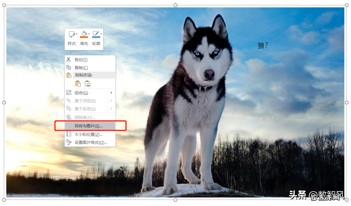 简单使实用的两个制作方法 怎么在图片上加文字