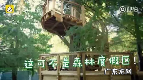 刘强东京东总部在哪里？怎么样？