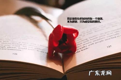 温暖唯美句子说说心情英文 【抖音文案】温暖感动的唯美句子说说心情