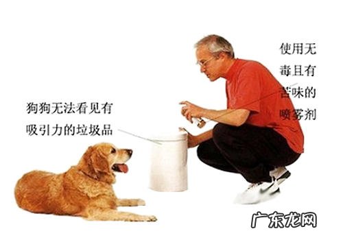 如何防止狗狗乱翻垃圾桶