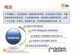 团队协作的五大障碍书籍 团队协作的五大障碍