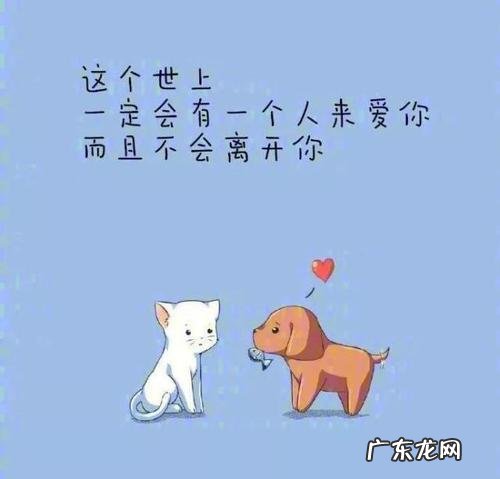 表达内心感动的句子 【抖音文案】内心很暖的句子