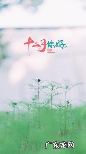 赞美十二月的唯美句子 【抖音文案】十二月唯美句子