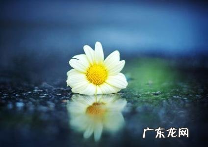 形容小雪的诗句唯美 【抖音文案】形容时间快的诗句唯美