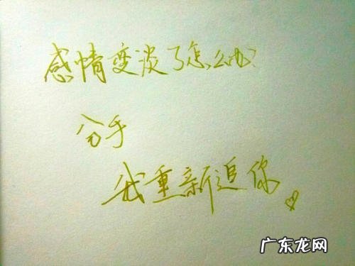 表达友情的优美短句 【抖音文案】表达友情的短句