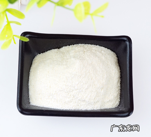 小狗口腔溃烂还拉肚子用什么药