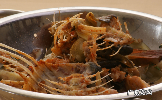 小狗要想“胃肠身体健康”，这好多个层面就不能犯