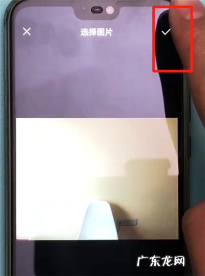 京东种草官怎么换头像？有哪些权益？