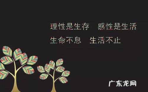 忙碌感悟人生正能量句子 【抖音文案】感悟人生正能量的经典句子