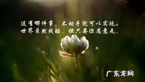 忙碌感悟人生正能量句子 【抖音文案】感悟人生正能量的经典句子