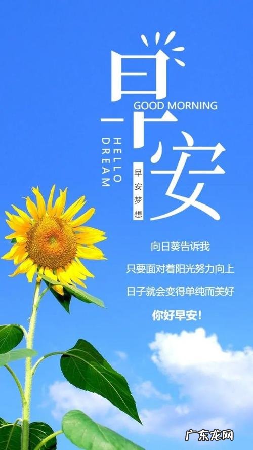 激励孩子积极向上正能量的句子 【抖音文案】每天正能量激励的句子