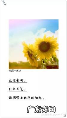 形容阳光温暖的句子 【抖音文案】简短阳光温暖的句子