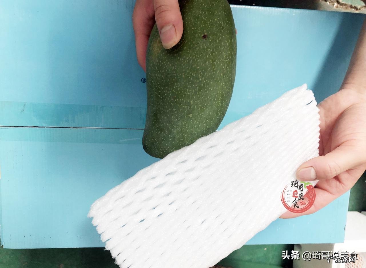 芒果怎么催熟不会烂？怎么判断芒果有没有熟？