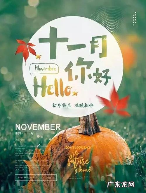 关于十一月的唯美句子 【抖音文案】十一月最美的句子