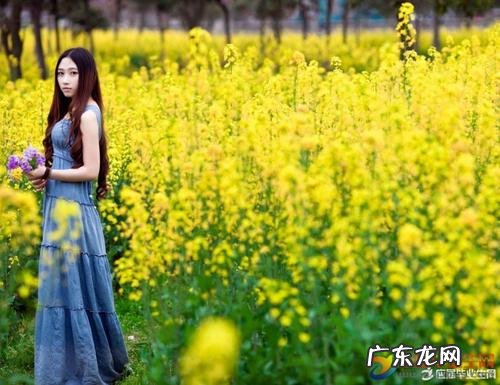 形容春天鸟语花香的句子唯美 【抖音文案】形容春天风景的句子唯美短句