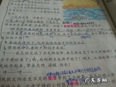 蒲公英佳句话花 【抖音文案】蒲公英的好词佳句