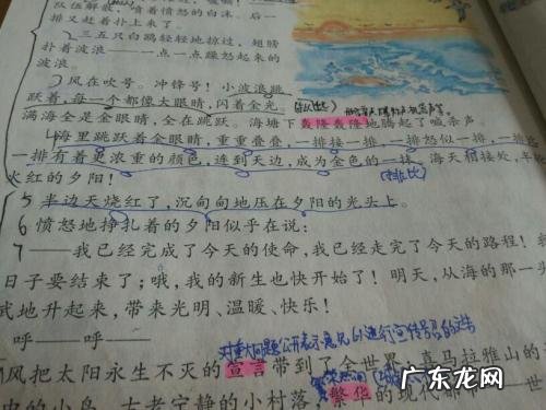 蒲公英佳句话花 【抖音文案】蒲公英的好词佳句