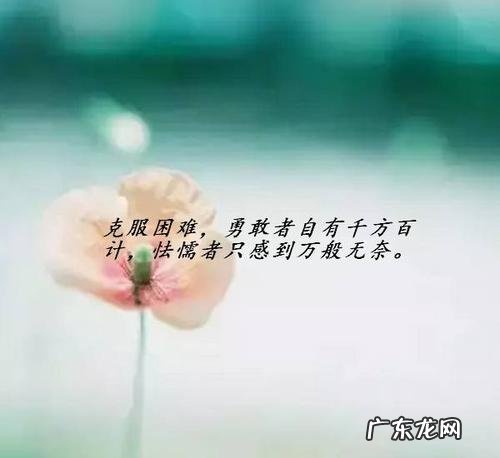 情感励志语录经典短句 【抖音文案】古语励志语录经典短句