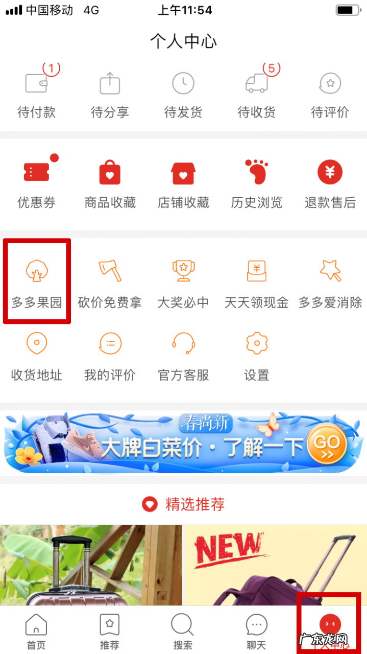 果园活动报名流程及条件 拼多多商家如何参加果园活动