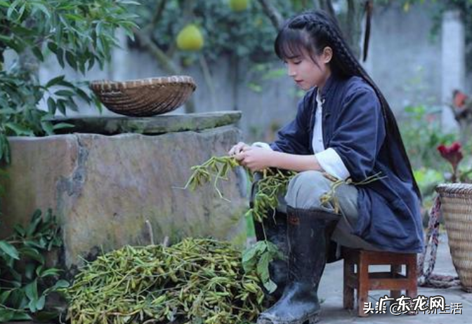 21位美女网红介绍 抖音网红有哪些