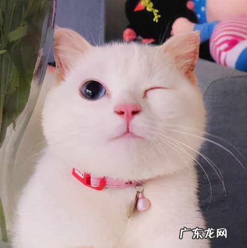 卸妆油卸妆后还要用洗面奶吗？怎么卸妆不伤皮肤？