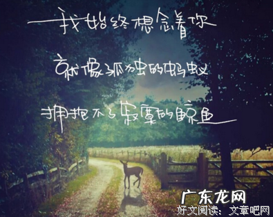 有关爱情的经典语句 【抖音文案】关于爱情的句子